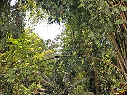 Hostel Cascada Verde