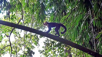 Hostel Cascada Verde