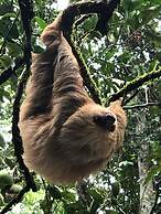 Hostel Cascada Verde