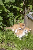 Zaißlhäusl Hof Ferienwohnungen