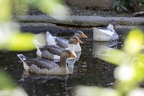 Zaißlhäusl Hof Ferienwohnungen