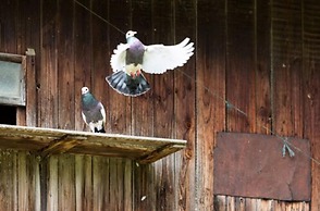 Zaißlhäusl Hof Ferienwohnungen