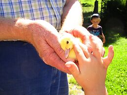 Zaißlhäusl Hof Ferienwohnungen