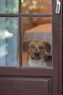 Mare Garden Hotel Akyarlar