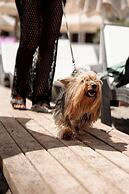 Mare Garden Hotel Akyarlar