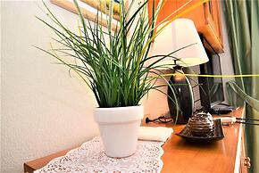 045 Summer Time - Ac/wifi