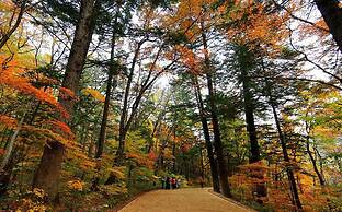 Benikea San & Bada Jumunjin Resort