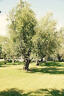 Anastasios Olive Garden Apartments