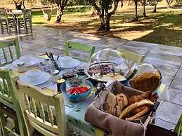 Anastasios Olive Garden Apartments