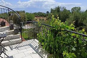 Anastasios Olive Garden Apartments