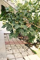 Anastasios Olive Garden Apartments