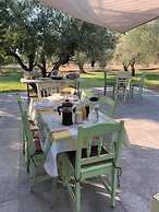 Anastasios Olive Garden Apartments