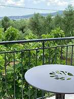 Anastasios Olive Garden Apartments