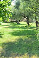 Anastasios Olive Garden Apartments