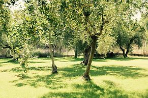 Anastasios Olive Garden Apartments