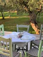 Anastasios Olive Garden Apartments