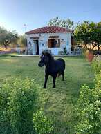 Anastasios Olive Garden Apartments