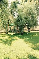 Anastasios Olive Garden Apartments