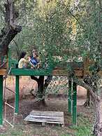 Anastasios Olive Garden Apartments