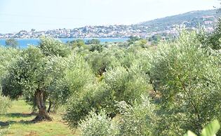 Anastasios Olive Garden Apartments