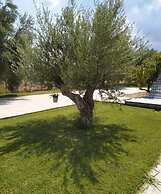 Anastasios Olive Garden Apartments