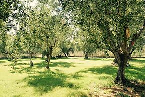 Anastasios Olive Garden Apartments