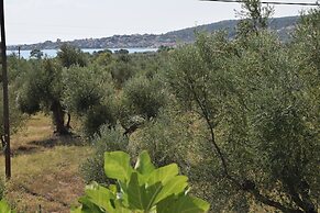 Anastasios Olive Garden Apartments