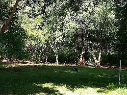 Mount Hermon Safari Cottages