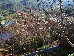 Nefzi Guest House