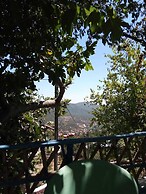 Nefzi Guest House