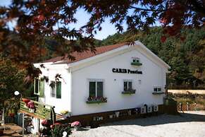 Carib Pension