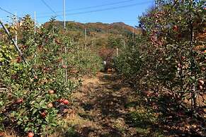 Apple farm stay