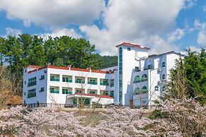 Beach castle hotel & resort