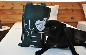 Transamerica Executive Fernandópolis