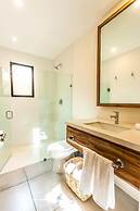 Agaves 204