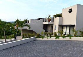 Agaves 204