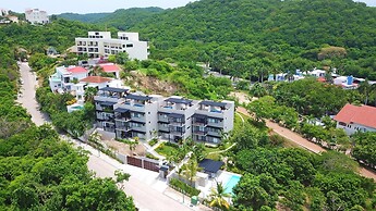 Agaves 204