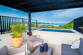 Agaves 204