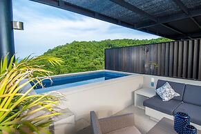 Agaves 204