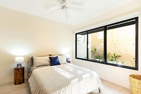 Agaves 204