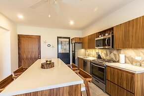 Agaves 204