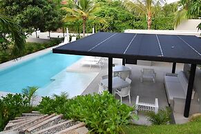 Agaves 204
