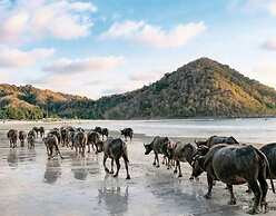 Zam Zam Anjani Villa