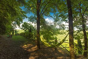 Old Tuscany's Hills - Beautiful House Close to Florence
