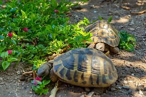 Old Town House With Lush Private Garden
