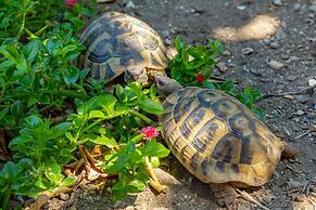 Old Town House With Lush Private Garden