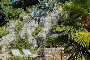 House Agave