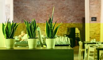 Antica Dimora della Racchetta