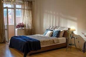 A Spacious studio in the center