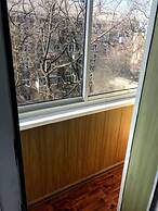 A cozy apartment in the center on Oktyabrskaya 20